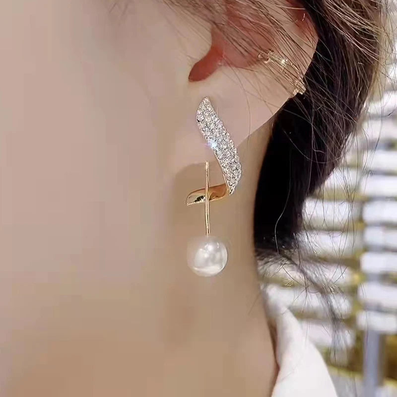 Crystal Long Earrings 